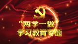 “两学一做”进行时 怎么学？如何做？