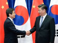 习近平会见韩国国务总理黄教安