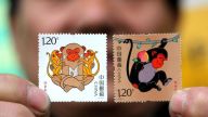  “冷门收藏”——潜力股还是“钱”力股