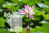 节气微课堂·小暑：天变无常雨连绵