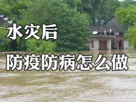 【健康解码】洪灾后如何防疫？