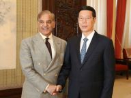 张高丽会见巴基斯坦客人
