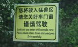 反思“游客遇袭”事件