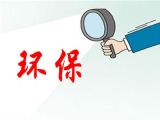中央环保督察组：“察”什么