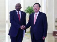 张德江与纳米比亚国民议会议长会谈