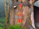 “精准扶贫”诞生地：十八洞村