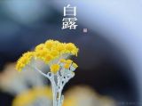 微视频丨节气微课堂·白露：一夜西风一夜凉 