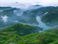 绿水青山里的“金山银山”