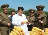 金正恩视察朝鲜人民军所属农场