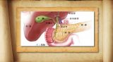 命悬“胰腺”（3）