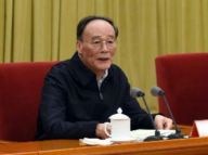 王岐山出席中央单位巡视工作座谈会