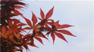 如何理解和坚持八个“不忘初心、继续前进”