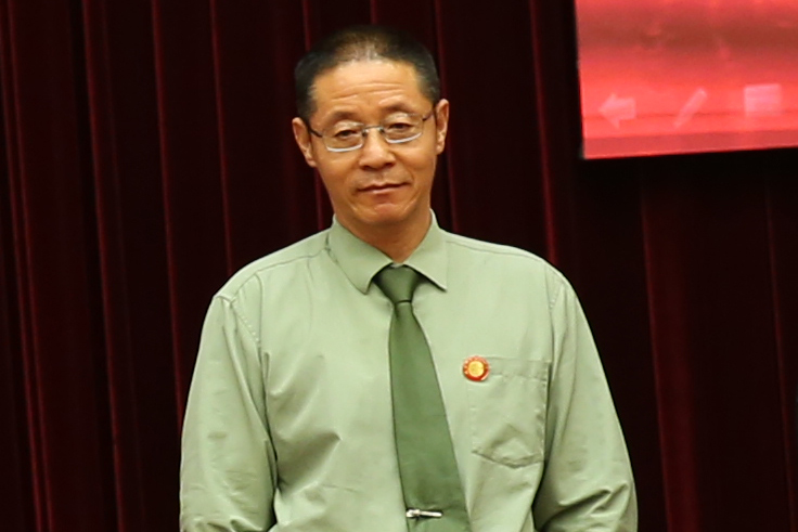 播放报告