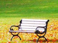 秋韵：这个季节与诗词更配