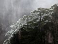 【大美中国】冰花世界：黄山迎雾凇奇观