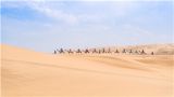 从习主席G20杭州峰会系列讲话学习中国智慧