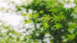 石仲泉：红军长征的基本内涵——不只是打仗突围
