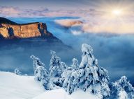 大雪诗韵：那些飘进诗词的“雪花”