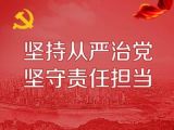 荐读丨加强党内监督是全面从严治党的题中应有之义 