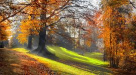 宣讲家网评论丨永远铭记民族觉醒的高光时刻 