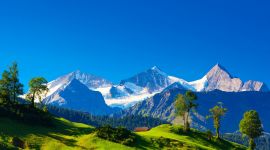 宣讲家网评论丨高校思想政治工作要从教师抓起 