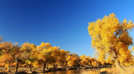 宣讲家网评论丨做君子不做小人的底线 