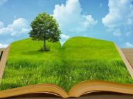 看数据：生态环境保护现状