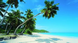 宣讲家网评论丨中国进入适应经济新常态的实质阶段 