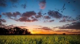 宣讲家网评论丨从“三个纬度”看供给侧结构性改革的四个变化 