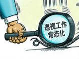 巡视组：2016落马的“老虎”