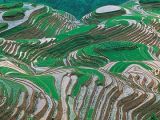 推进农业供给侧结构性改革 构建农产品质量安全体系