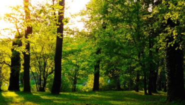 家庭建设在当代中国社会治理中的重要性