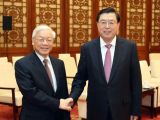 张德江会见越共中央总书记阮富仲