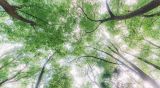 北纬30°·中国行（79）