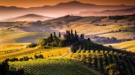 宣讲家网评论丨民族振兴中的文化力量 