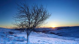 宣讲家网评论丨领导干部要着力打造“敢于担当范儿” 