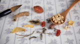 北京好手艺——药到病除说中医