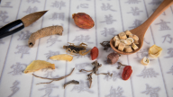 北京好手艺——药到病除说中医