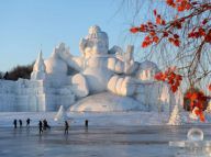 【人文中国】哈尔滨“冰情雪韵”迎客来