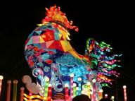 闹元宵：花灯闪耀 流光溢彩