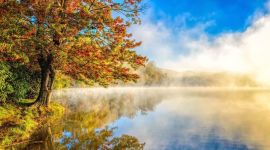 宣讲家网评论丨党政主要负责同志必须撸起袖子抓改革 扑下身子抓落实 