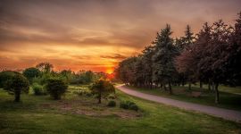 宣讲家网评论丨用科学理论武装全党、教育人民是中国共产党的执政所依 