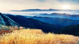 宣讲家网评论丨普天同度鸡年佳节 今年春节过得好 