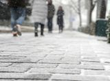 【这里是北京】迎首场春雪