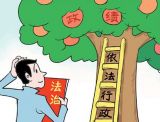 聚焦丨领导干部要注重提高政治能力 