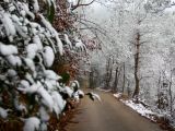 【绝美风光】赏兰溪“冻人”雪景