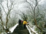 【绝美风光】贵州梵净山：千树万树梨花开