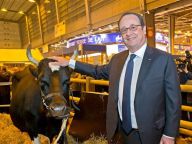 第54届法国农博会在巴黎开幕