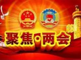 【两会】代表、委员如何产生
