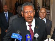 苏丹总统任命巴克里为总理